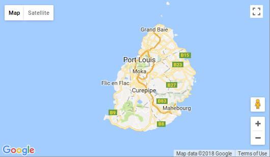 Using Google Maps JavaScript API to initiate a map of Mauritius