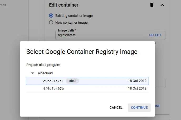 Select the image from the Google Container Registry
