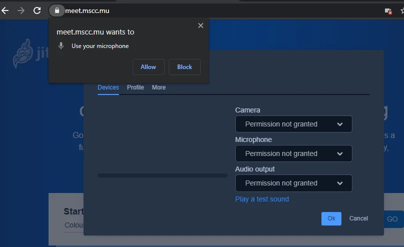 Grant permissions to access your microphone and camera