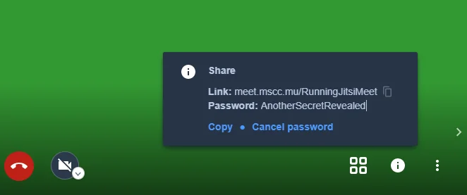 Set a room-specific password to avoid Zoom-bombing and unauthorised access