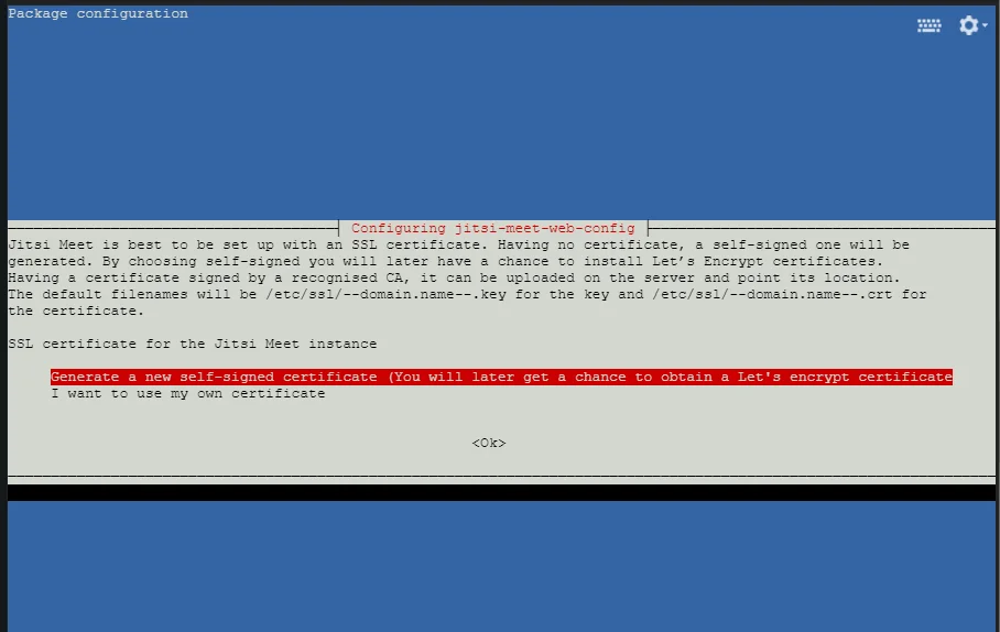 Choose the default option to generate an SSL certificate