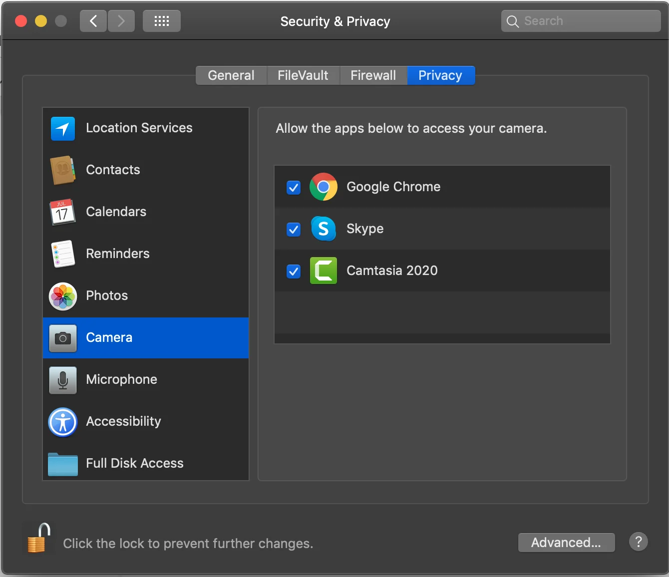 Check permission on macOS to grant Skype access to the camera...