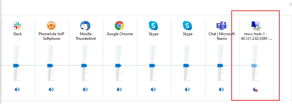 Mute the VM's audio to avoid local echoes in Skype