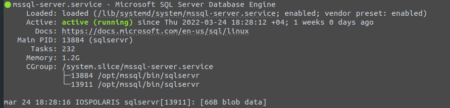 Installing SQL Server 2019 and tools on Ubuntu 20.04