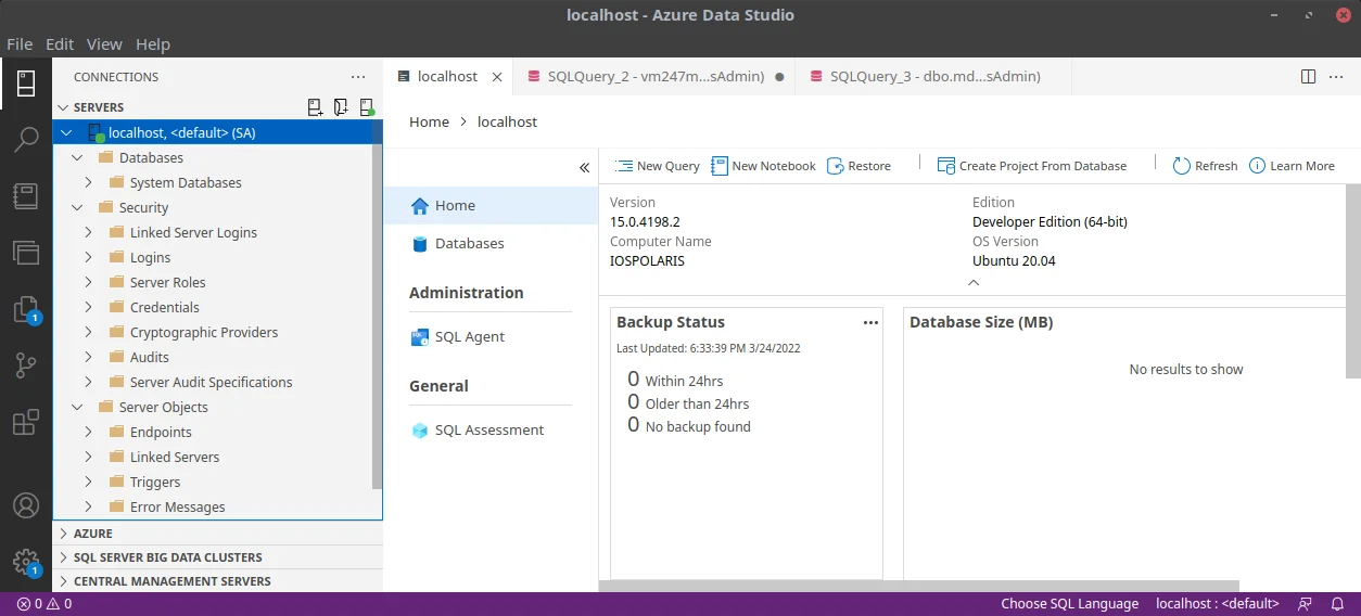 Azure Data Studio connected to local instance of SQL Server 2019
